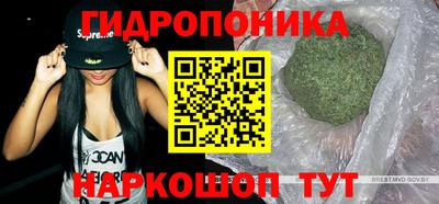 мдпв Вышний Волочёк
