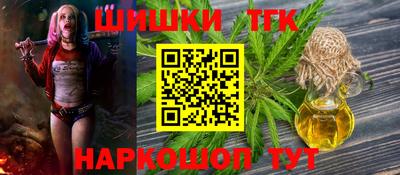 мдпв Вышний Волочёк