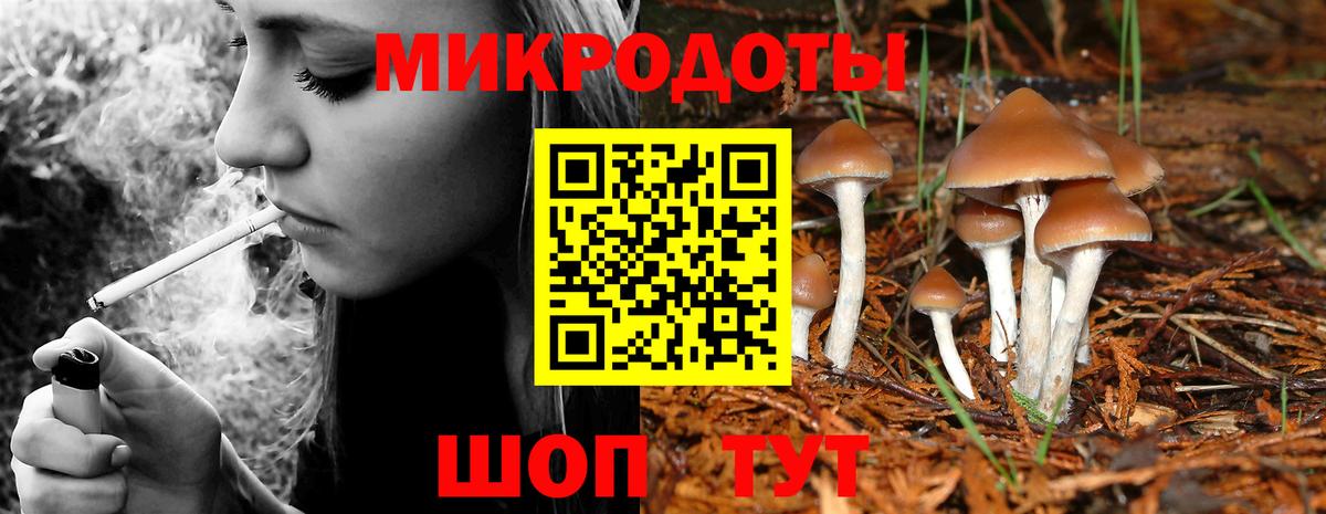 Псилоцибиновые грибы GOLDEN TEACHER Гатчина